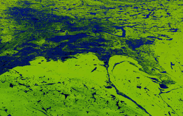 Patterns of flowing water masses on Ukrainian river Dnepr covered by cyanobacterias - fotografia de stock