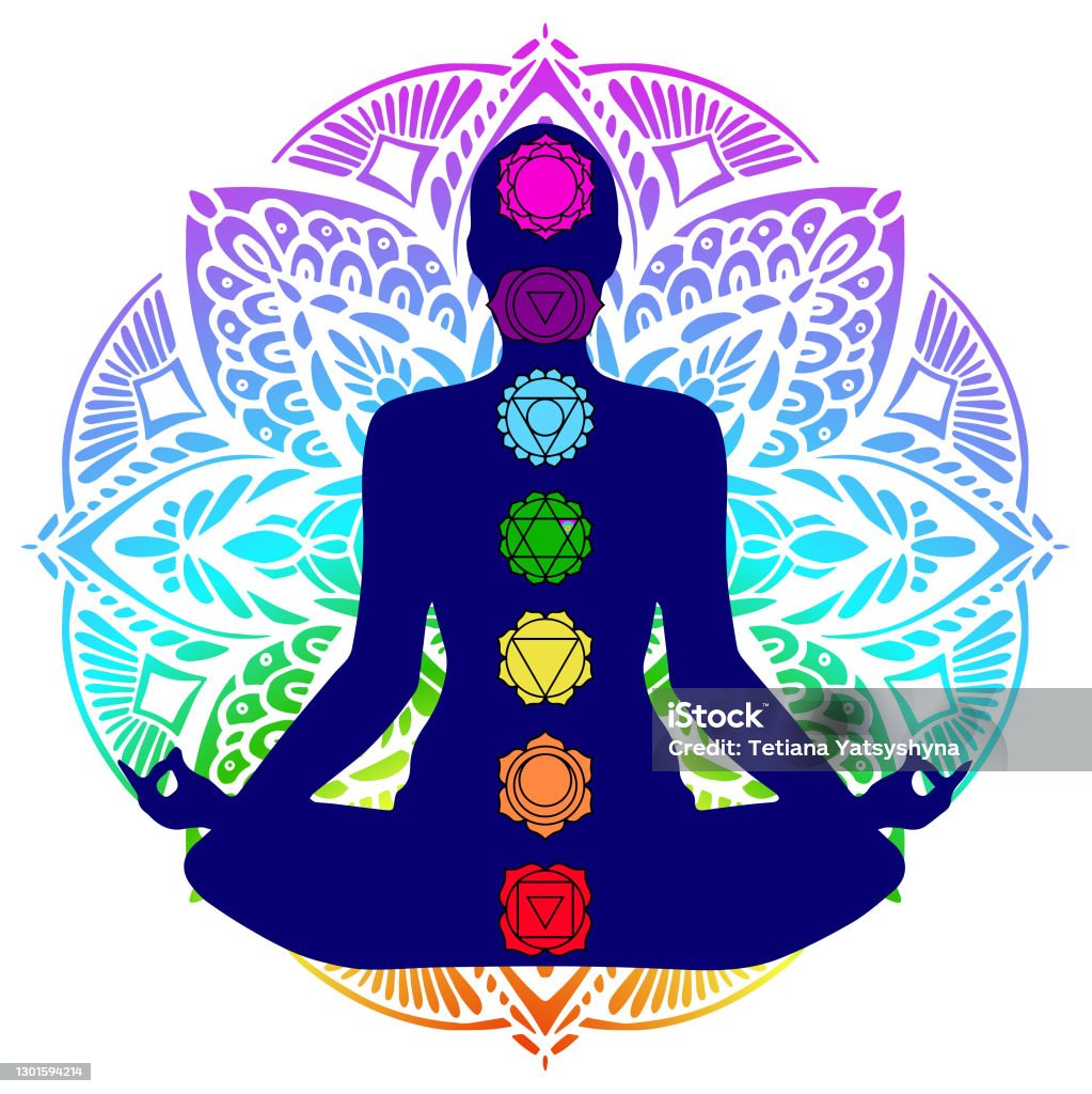 Human silhouette in yoga pose with chakras Chakra stock vector
