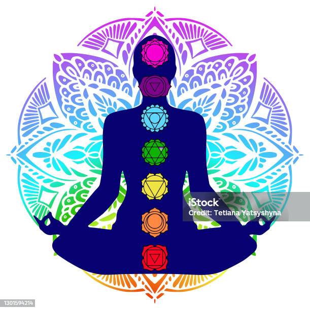 Human Silhouette In Yoga Pose With Chakras Stock Illustration - Download Image Now - Chakra, Animal Body, Yoga