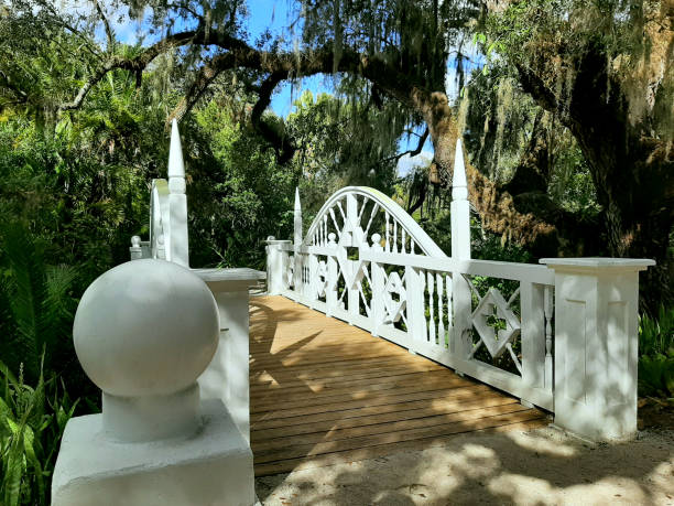 istock Wooden bridge in rural area 1301595039
