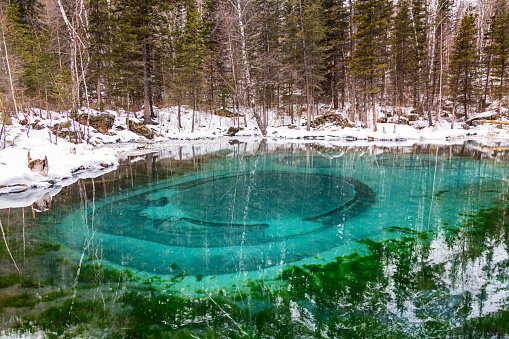Blue turquoise geyser thermal lake in the winter forest. Altai Republic, Russia
