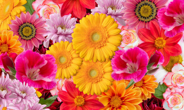 istock Floral background with multicolored flowers 1301598482