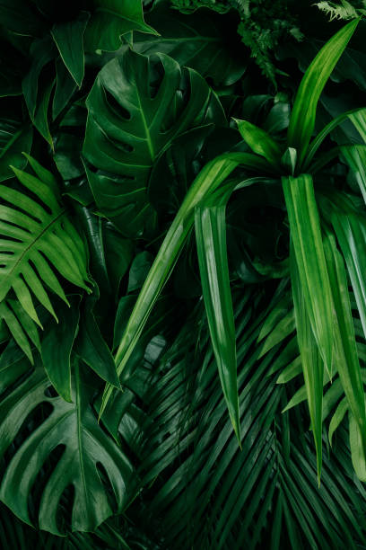 istock Abstract green leaves nature texture background. Creative layout for design 1301599788