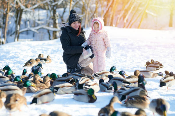istock Mother and daughter feeding wild ducks 1301601235