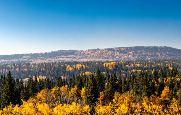istock Fall colours in the Hamlet. Benchlands, Alberta, Canada 1301601422