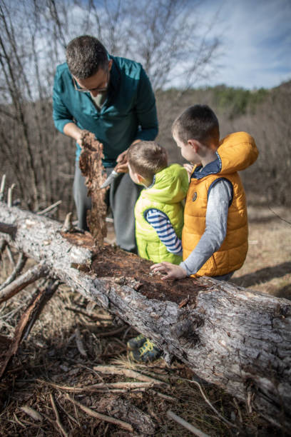 istock Young man teaching his two boys about the trees 1301602656
