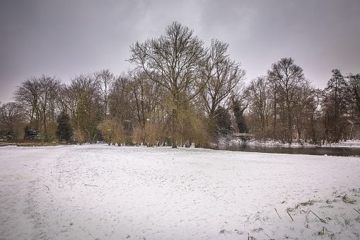 winter view of the white Vondelpark under the snow in Amsterdam