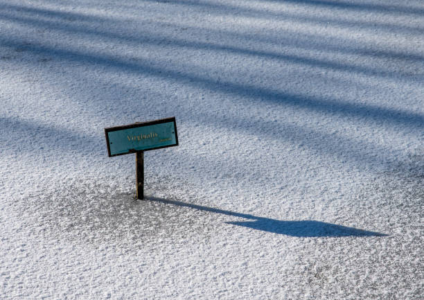 Lilly pad name sign on frozen pond