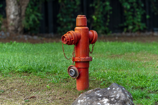 Typical American red fire hydrant in the garden