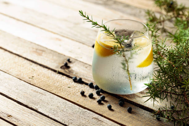 bebida alcoólica (coquetel de gim tônica) com limão, ramo de zimbro e gelo na mesa de madeira rústica. - gin - fotografias e filmes do acervo