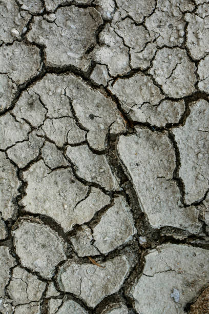 dry soil with deep cracks, drought, heat. - the natural world plant attribute natural phenomenon mineral imagens e fotografias de stock