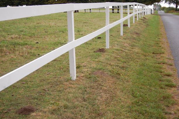 Photo of A white picket fence around a paddock next to a country road and a parallel row of molehills.