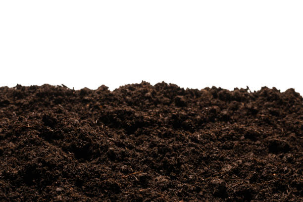 istock Black land for plant. 1301618381