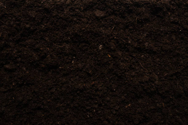 istock Black land for plant background. 1301618390