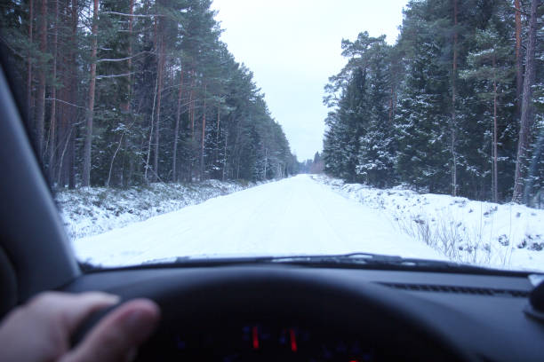 istock Winter Driving. Driving troughs forest. 1301619431