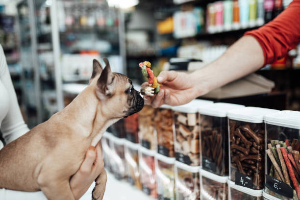 mujer en tienda de mascotas - vet dog teenager puppy fotografías e imágenes de stock