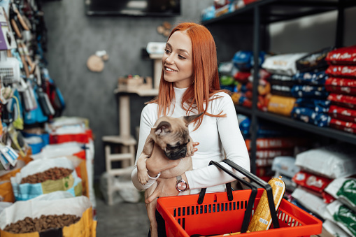 Beautiful young redhead woman with an adorable french bulldog puppy buying goods in big modern pet shop.