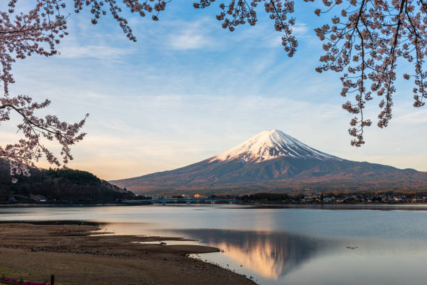 istock Mt. Fuji, Japan on Lake Kawaguchi 1301621144