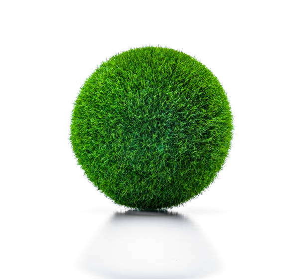 白い背景にグラから緑のボール - lawn ball circle green ストックフォトと画像