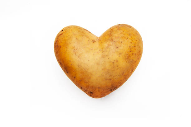 Heart shaped potato isolated on white background