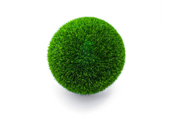 白い背景にグラから緑のボール - lawn ball circle green ストックフォトと画像
