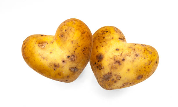 Heart shaped potato isolated on white background