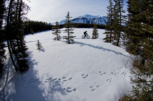 A man goes for a winter fat bike ride along a frozen lake in the Rocky Mountains of Canada. In the foreground are the paw prints of a snowshoe hare rabbit. Fat bikes are mountain bikes with oversized wheels and tires for riding on the snow. He is wearing warm winter clothing, a cycling helmet, and carries a backpack.