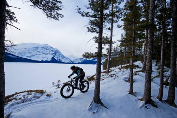 istock Winter Fat Bike Ride 1301626949