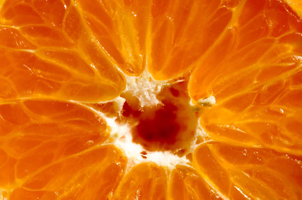 istock Close-up on top of sliced clementine 1301629495