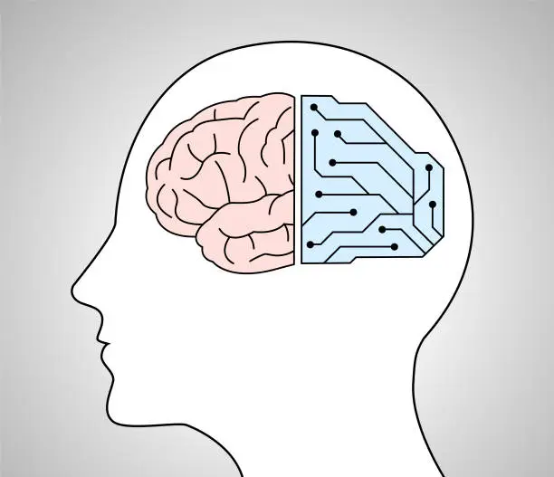 Vector illustration of Left/right brain theory