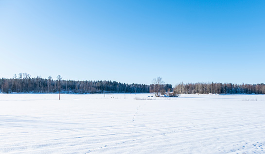 Snowy field, plain. Winter landscape with snowy road and trees in Finland.