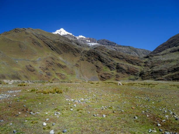 białe pasmo górskie - mountain peru cordillera blanca mountain range zdjęcia i obrazy z banku zdjęć