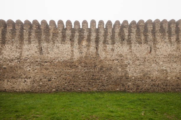 Wall of the Batonis Tsikhe. Literally, \