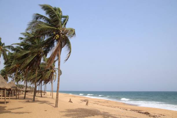 istock Coco Beach in Avepozo, Togo, West Africa. 1301631469