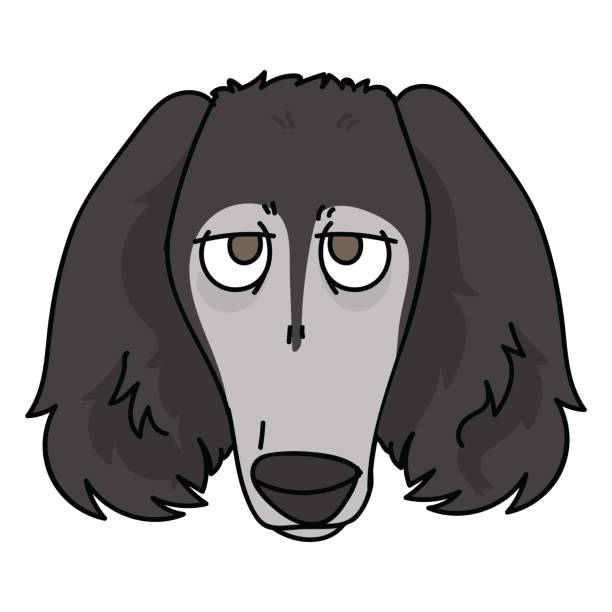 cute kreskówki saluki puppy rasy wektor clipart. hodowla rodowodowa rasa pieska dla miłośników psów. rasowy pies domowy do maskotki ilustracji salonu dla zwierząt domowych. odosobniony psi borzoi ogar. eps 10. - organization chart stock illustrations