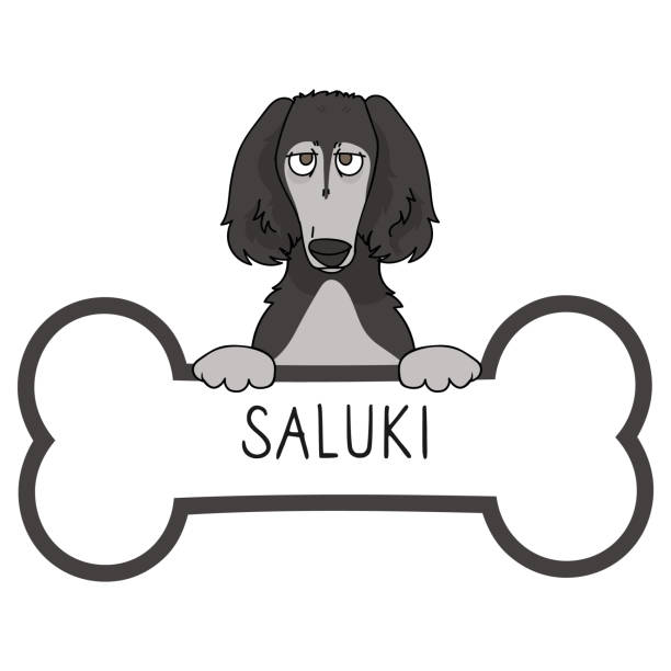 cute kreskówki saluki puppy rasy wektor clipart. hodowla rodowodowa rasa pieska dla miłośników psów. rasowy pies domowy do maskotki ilustracji salonu dla zwierząt domowych. odosobniony psi borzoi ogar. eps 10. - organization chart stock illustrations