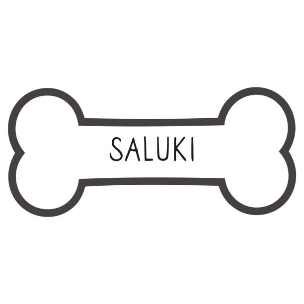 ręcznie rysowane słodkie saluki rasy dog tag bezszwowy wzór wektora. rasowy rodowód psa domowego na tle łapy. pies kochanek pet salon pet pet wszystko nadrukiem. piesek hodowli. eps 10. - organization chart stock illustrations