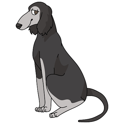 Cute cartoon saluki puppy breed vector clipart. Pedigree kennel doggie breed for dog lovers. Purebred domestic dog for pet parlor illustration mascot. Isolated canine borzoi hound. EPS 10.