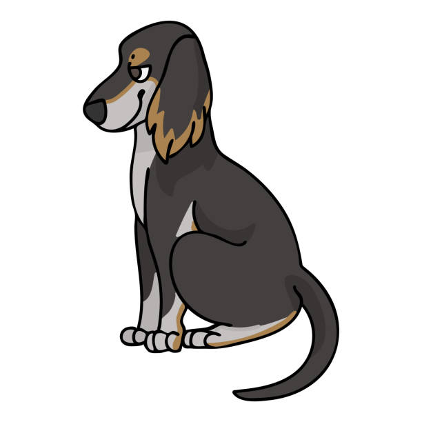 cute kreskówki saluki puppy rasy wektor clipart. hodowla rodowodowa rasa pieska dla miłośników psów. rasowy pies domowy do maskotki ilustracji salonu dla zwierząt domowych. odosobniony psi borzoi ogar. eps 10. - organization chart stock illustrations