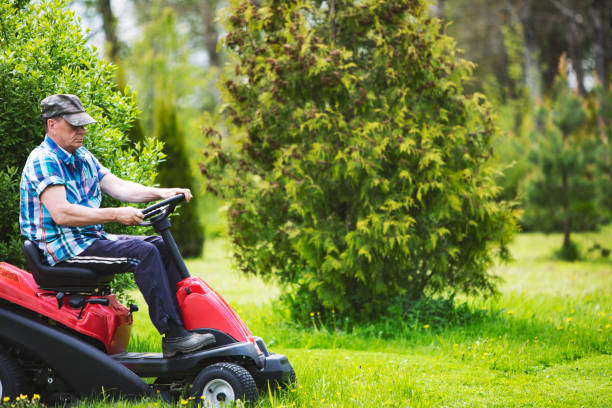 istock Senior man engaged in gardening 1301634003