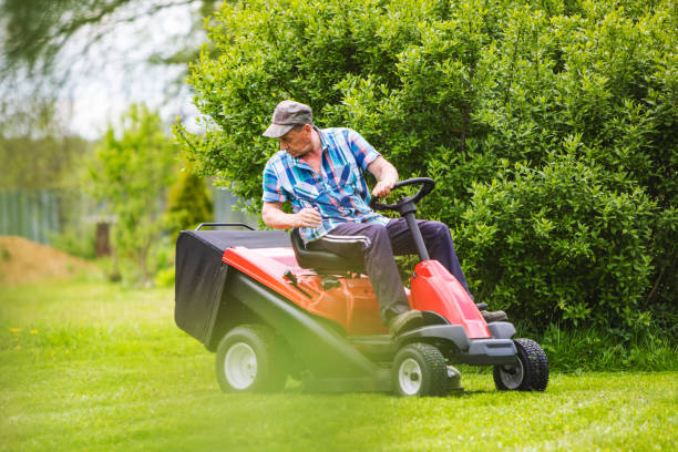 istock Senior man engaged in gardening 1301634013