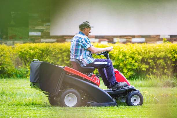 istock Senior man engaged in gardening 1301634020