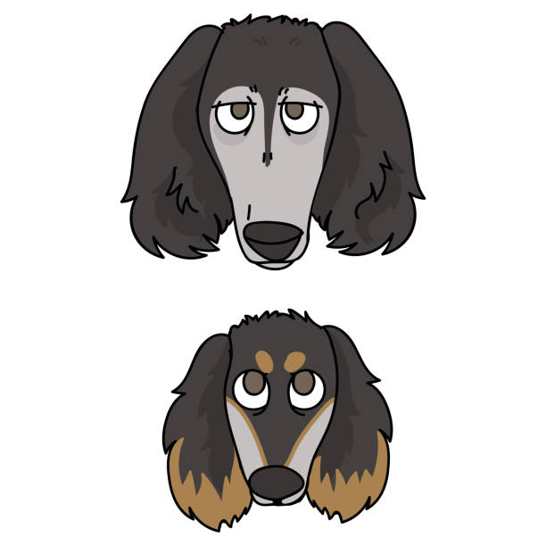 cute kreskówki saluki puppy rasy wektor clipart. hodowla rodowodowa rasa pieska dla miłośników psów. rasowy pies domowy do maskotki ilustracji salonu dla zwierząt domowych. odosobniony psi borzoi ogar. eps 10. - organization chart stock illustrations