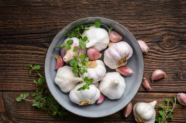 Natural antibiotic, fresh garlic bulbs with cloves on rustic wooden background