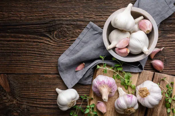 Natural antibiotic, fresh garlic bulbs with cloves on rustic wooden background with copy space