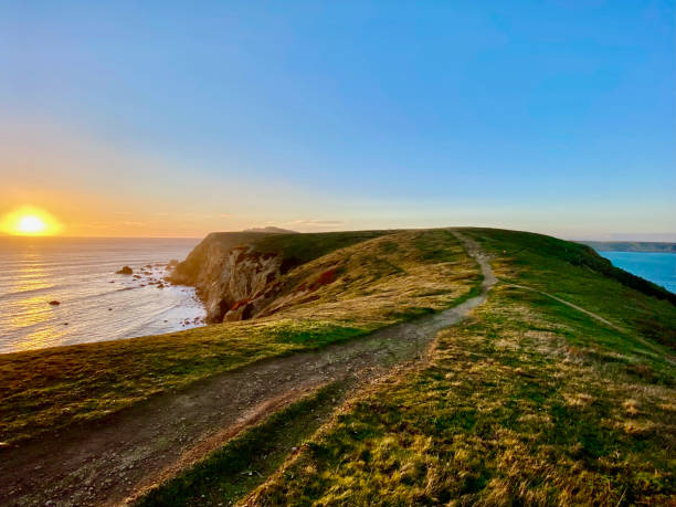 istock Point Reyes National Seashore at Sunset 1301639025