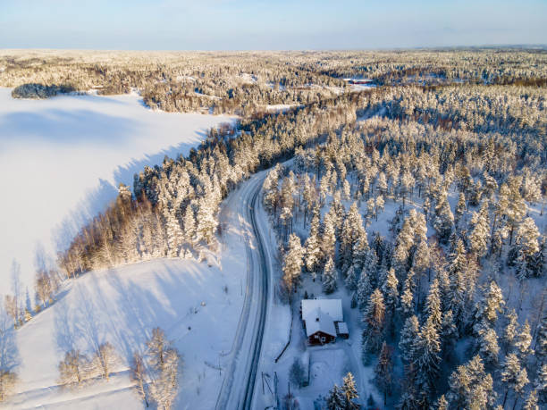 istock Aerial winter forest in lapland Finland 1301640488