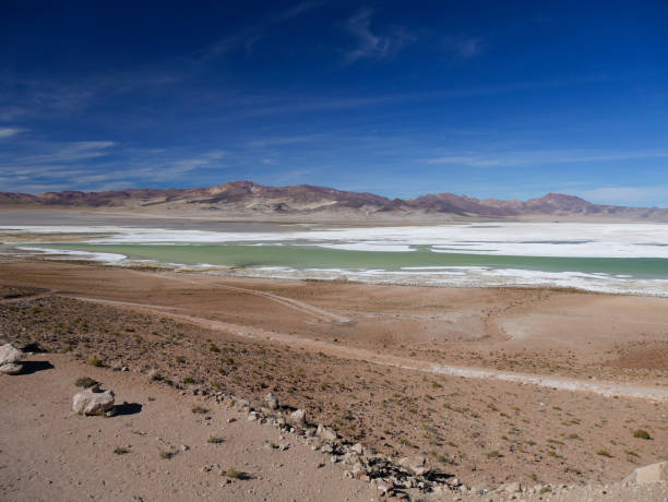 istock salt lakes and mountains in Chile 1301641383