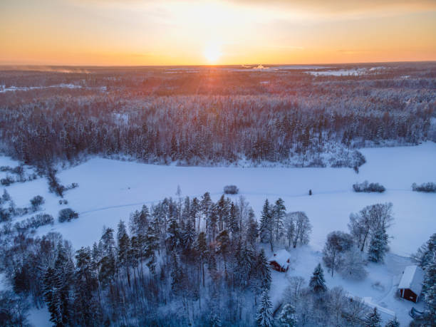 istock Aerial view to Winter Forest 1301641716