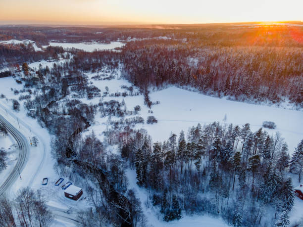 istock Aerial view to Winter Forest 1301642765